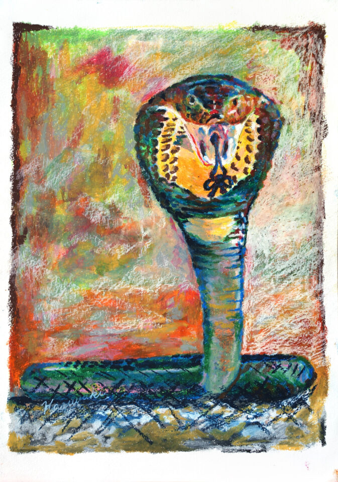 kazuyuki_コブラ