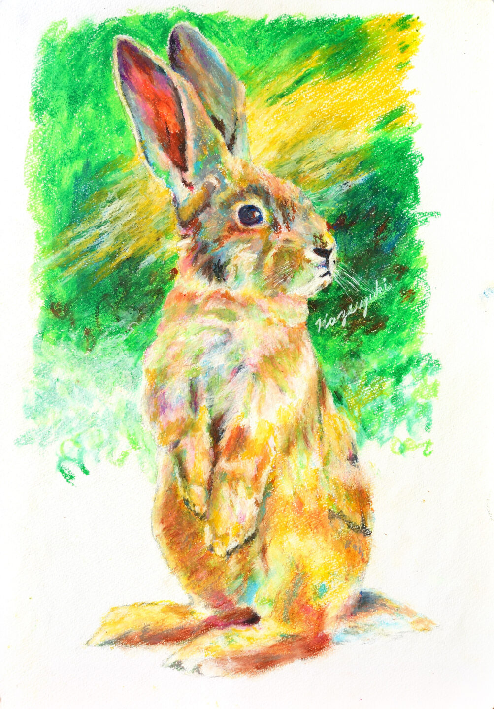 Kazuyuki「野うさぎ」