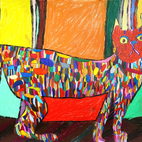 関谷 早央「CAT」