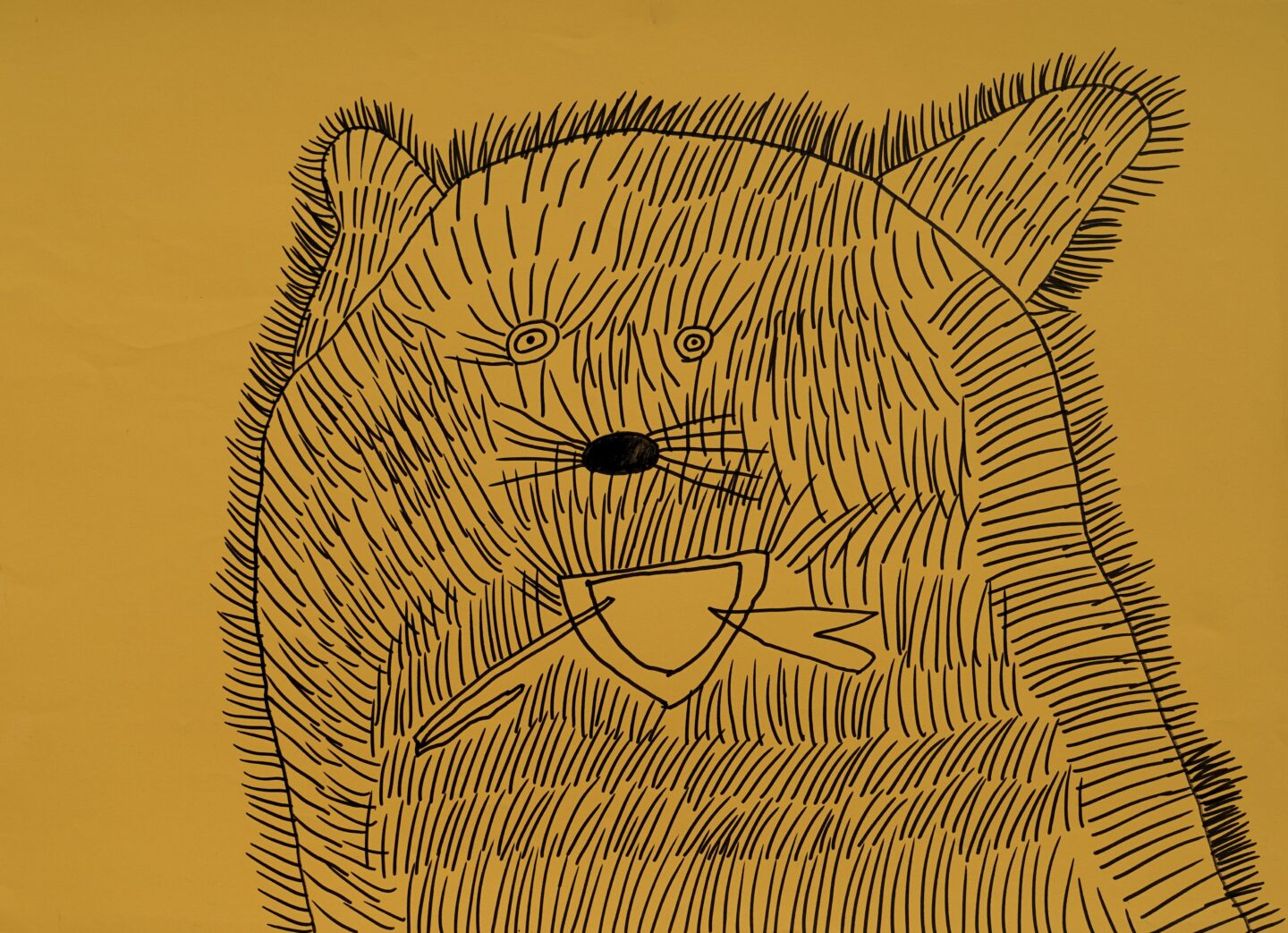 マルセロ ヒロユキ「クマ」