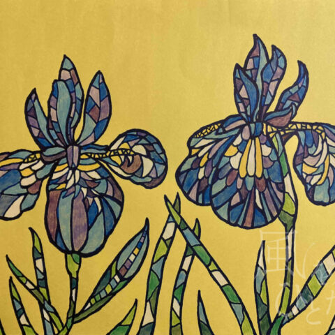 桑野 カナ「アヤメ」