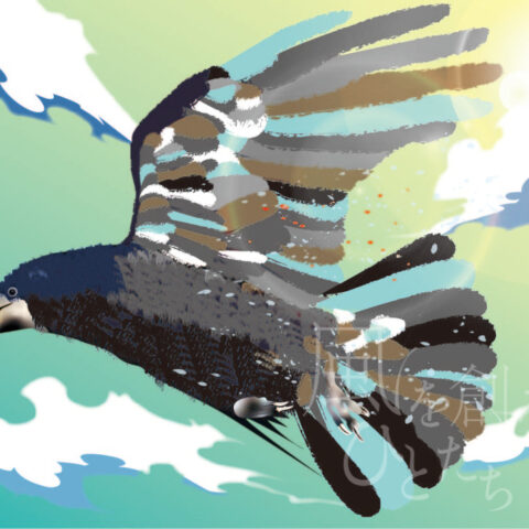 西尾 亜加梨「飛べ！」