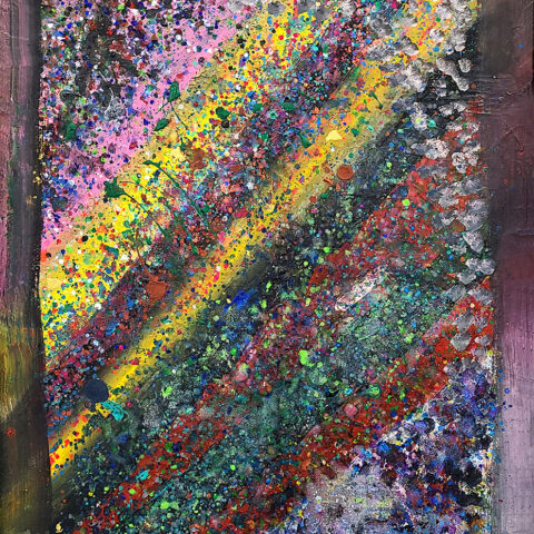 森 渉「きらきら星１」