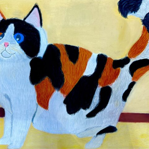 櫻井 陽菜「ハチワレ猫」