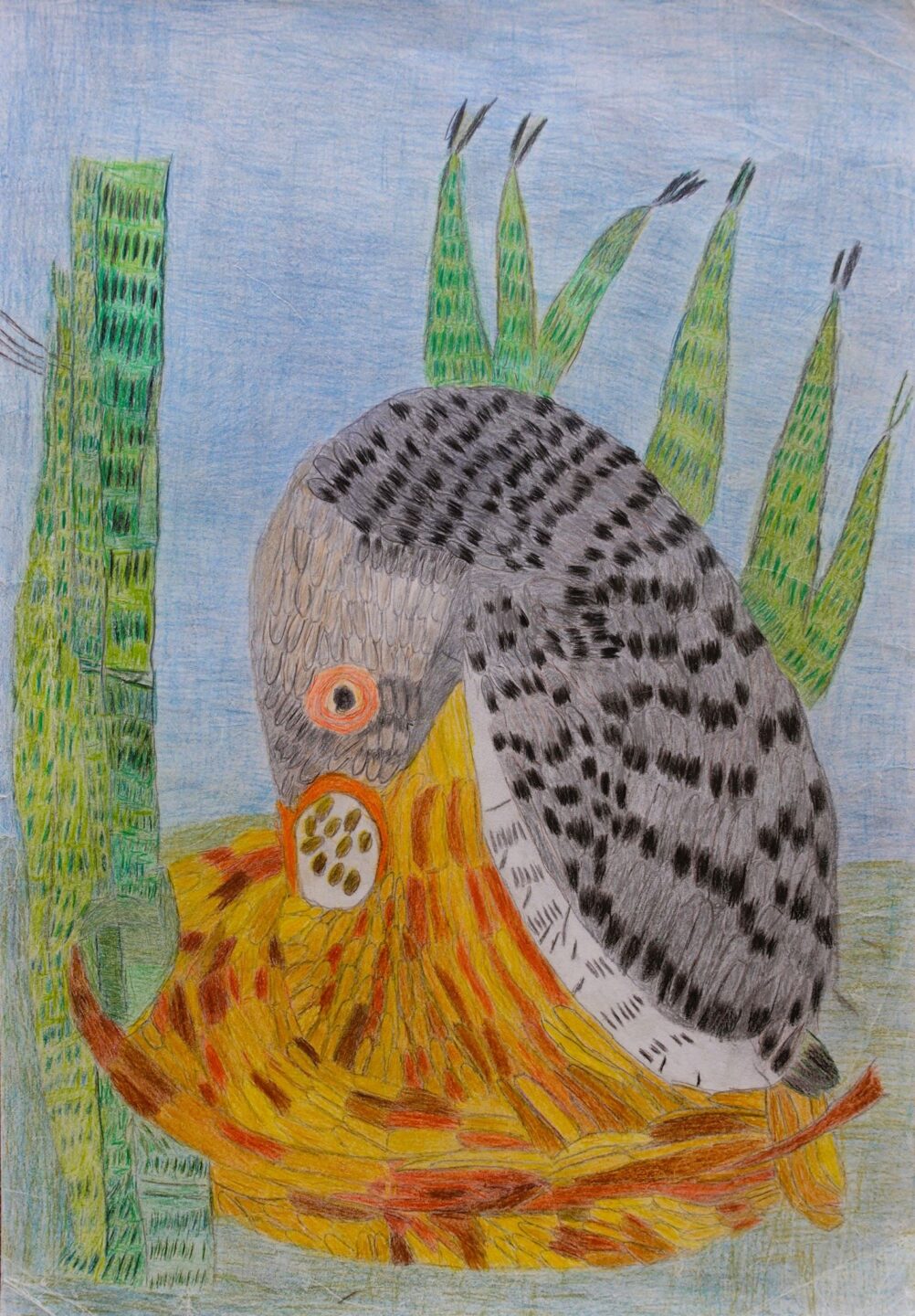 坂田 仁「愛情」