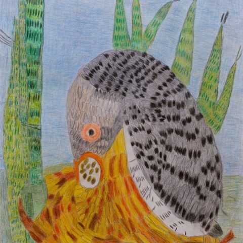 坂田 仁「愛情」