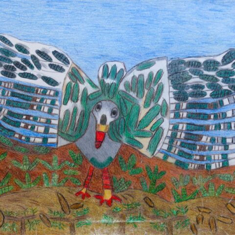 坂田 仁「警告」