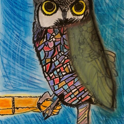 池田 悠矢「フクロウ」