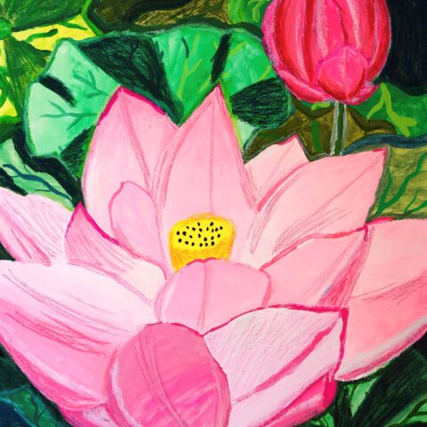 影山 桃花「蓮の花」