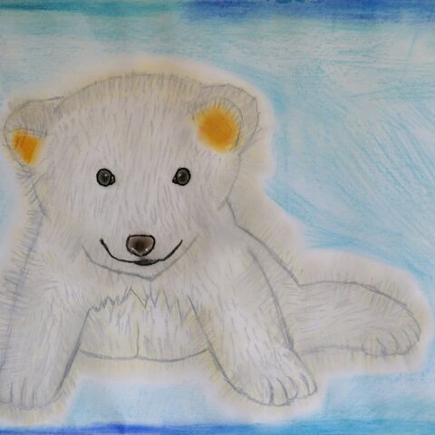 影山 桃花「シロクマ」