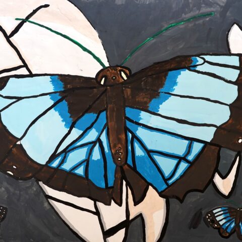 松尾 虹「butterfly」