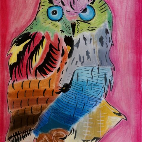 渡邉 凌哉「フクロウ」