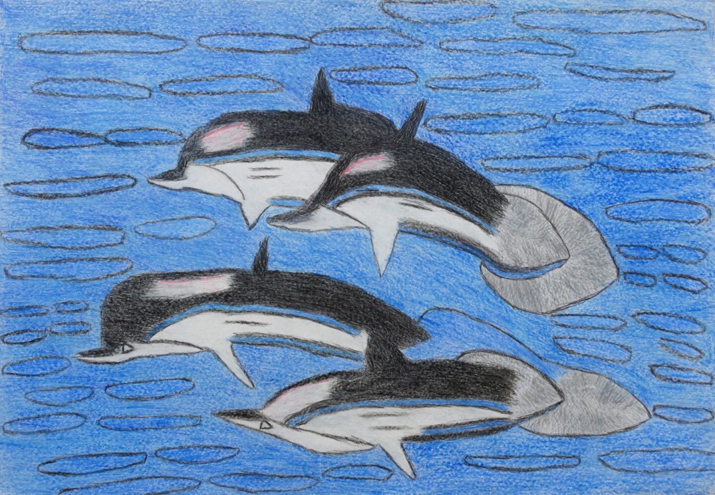 坂田 仁「シャチの家族」