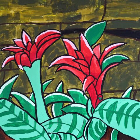 松尾 虹「グズマニア」