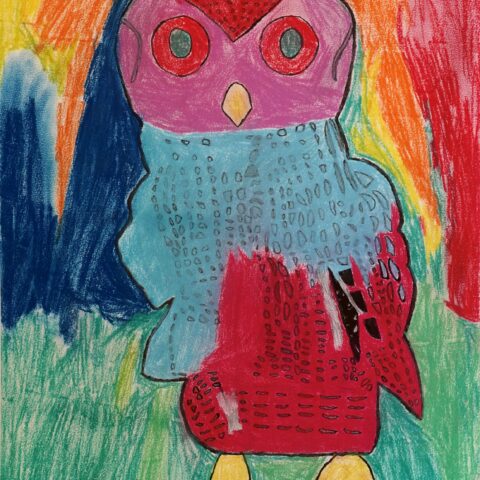 三澤 遥輝「レインボーフクロウ」