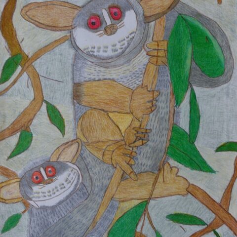 坂田 仁「マダガスカル」