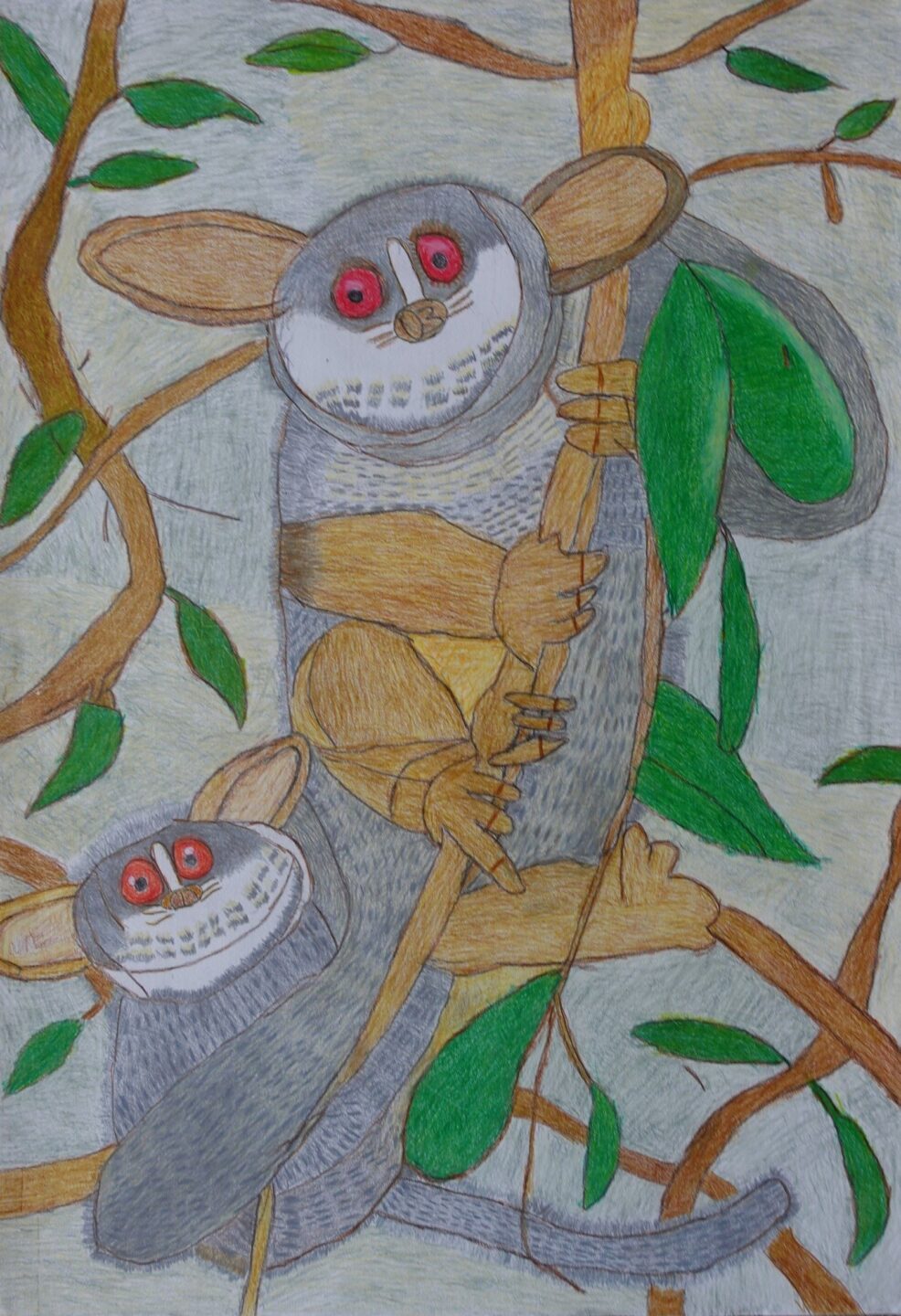 坂田 仁「マダガスカル」