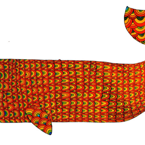 鈴木 龍太「クジラ」