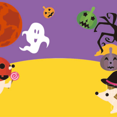 西尾 亜加梨「ハロウィンのハリネズミ」