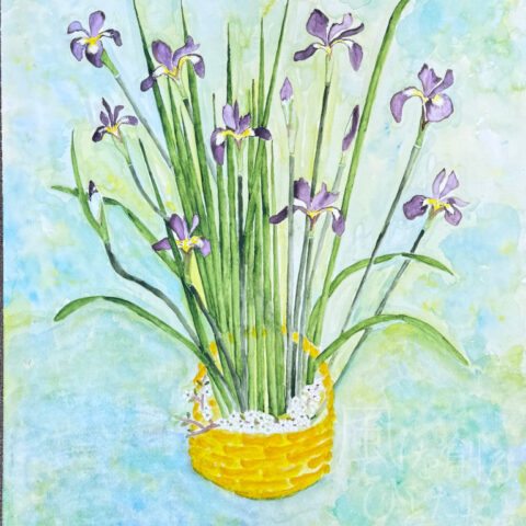 鈴木 徹「菖蒲」