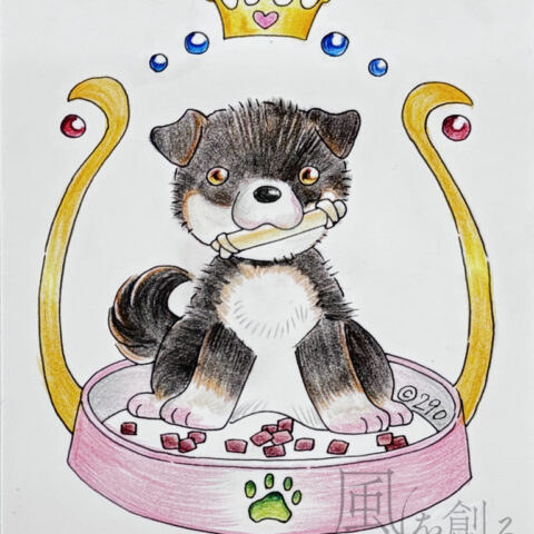 福丸 ぽち「カムカム」