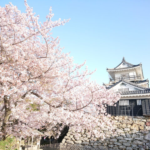 小松 アツヒト「春爛漫」