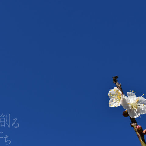 オオイシ ヤスト「仰げば」