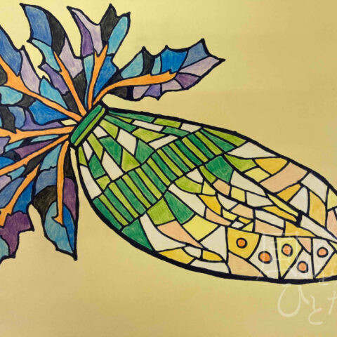 桑野 カナ「ダイコン」