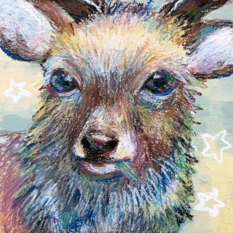 土屋「三嶋大社のしか」