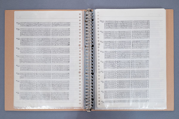 審査員特別賞(日比野氏)を受賞した「毎日のお給料の計算」(河合 秀翔 作)の画像